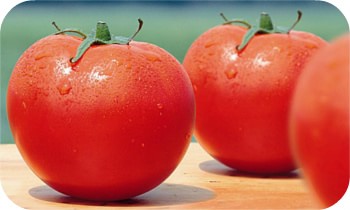 トマトの旬と産地とは？　探せる美味しい時期！