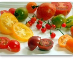 トマトの種類とおすすめ品種　選んで美味しい、とまとまトマト