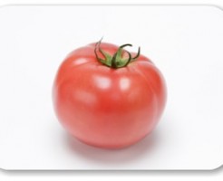 トマトの漢字・和名とは？　トマトの歴史、日本ではいつ頃から？