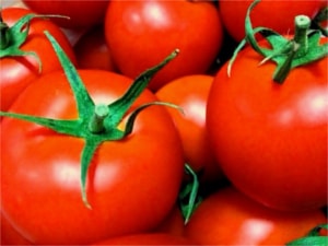 餃子の変わり種にトマト